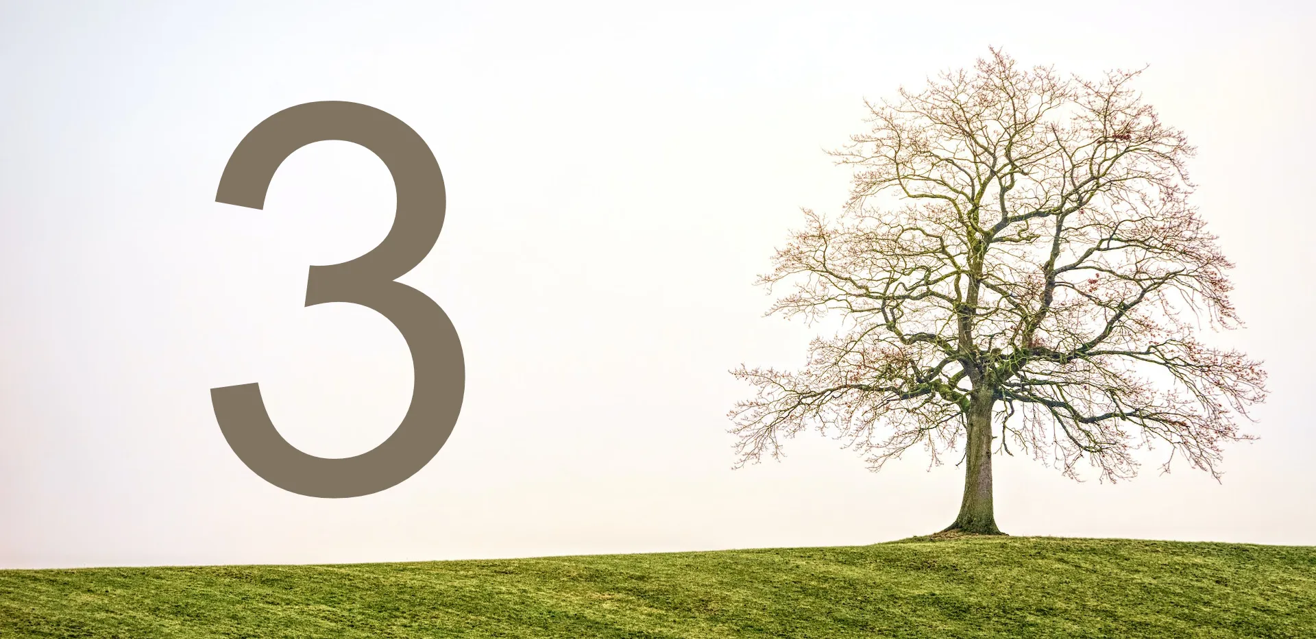 The digit 3 next to a tree