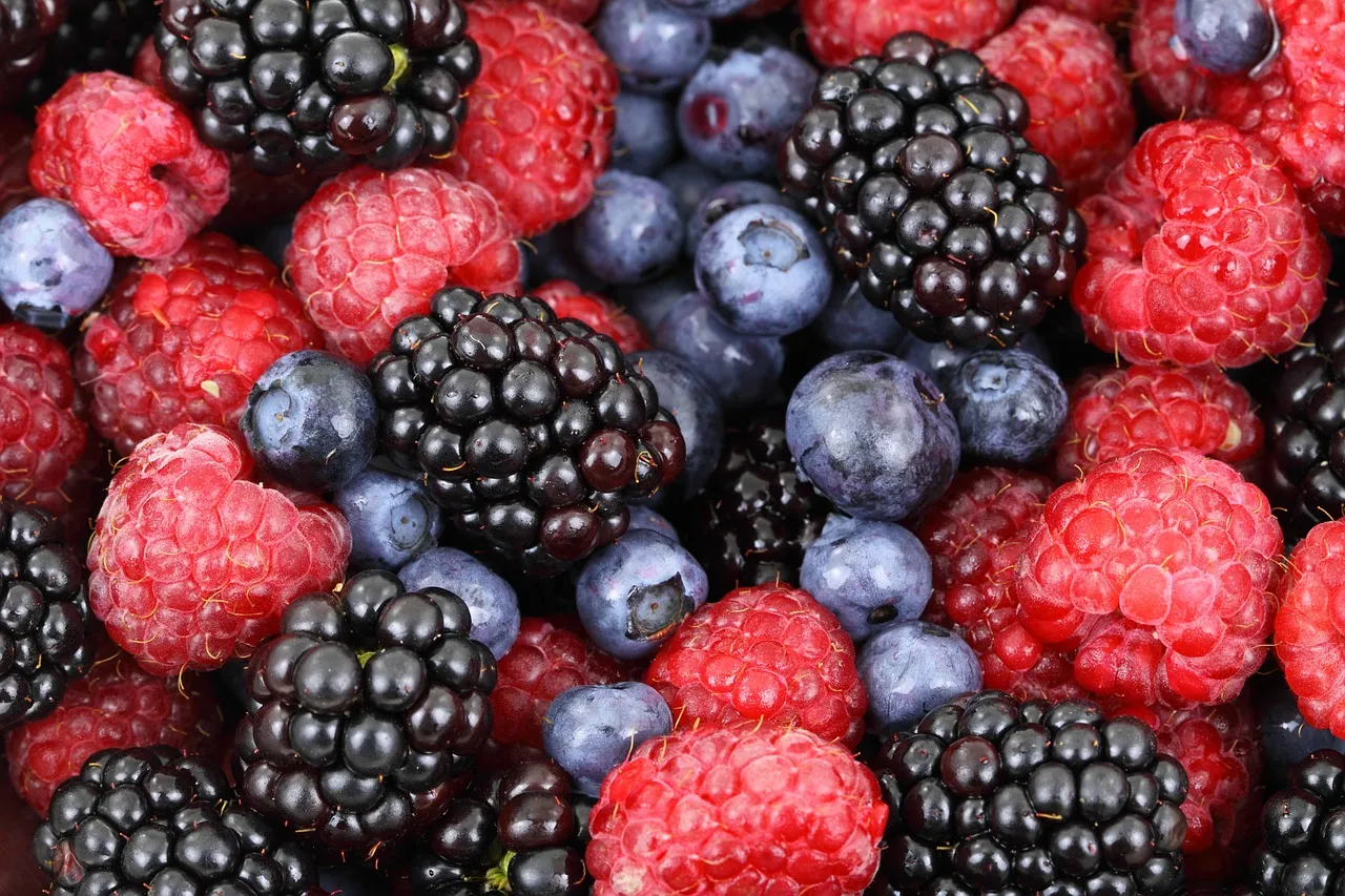Berries and Memory.jpg