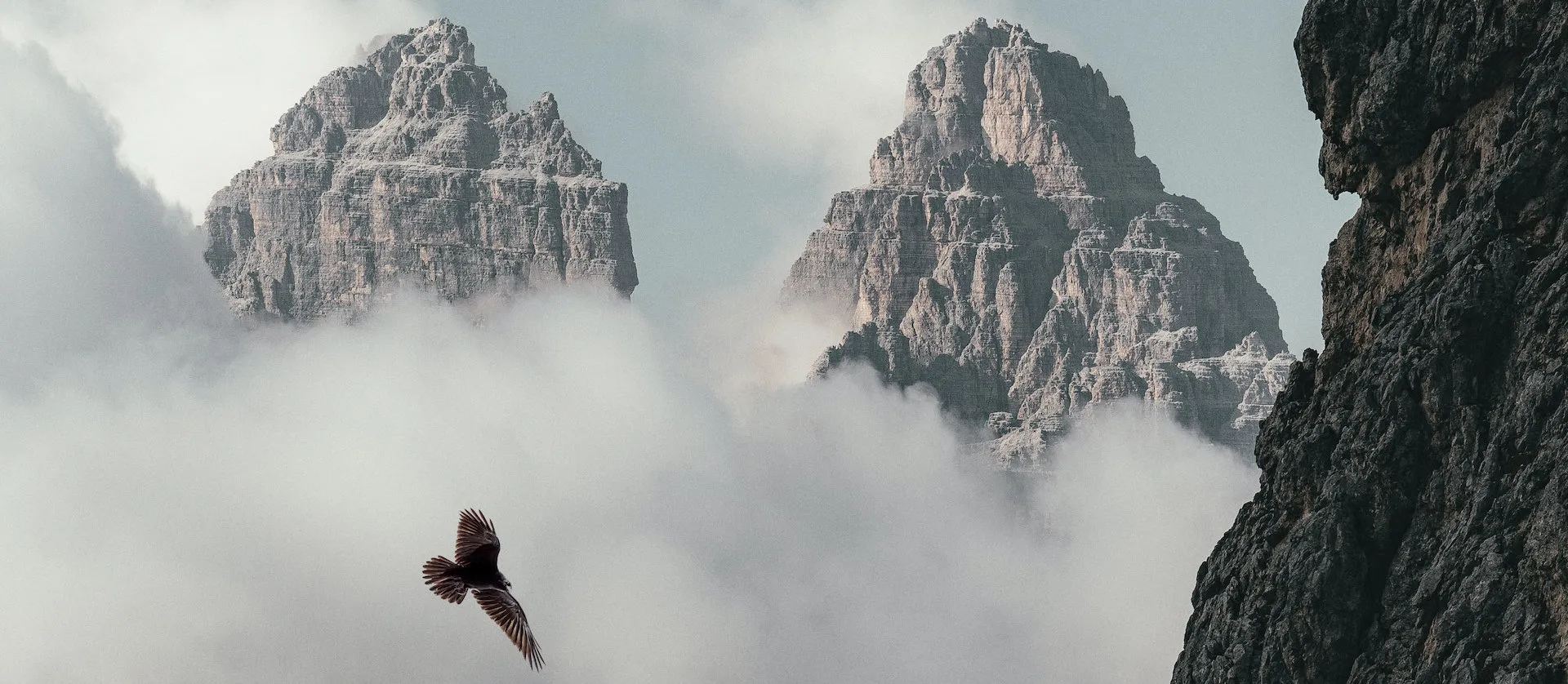 An eagle soaring between mountain peaks