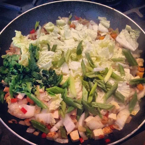 Stir-fry with napa cabbage