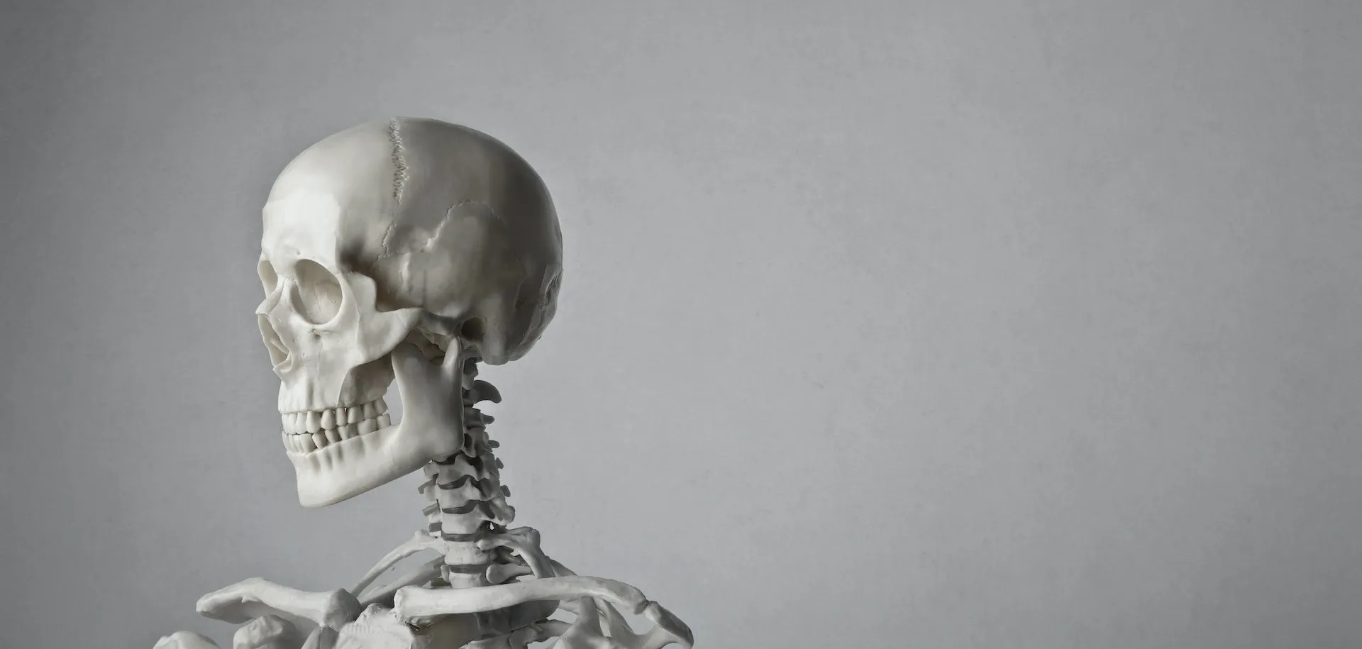 Mode of a skull