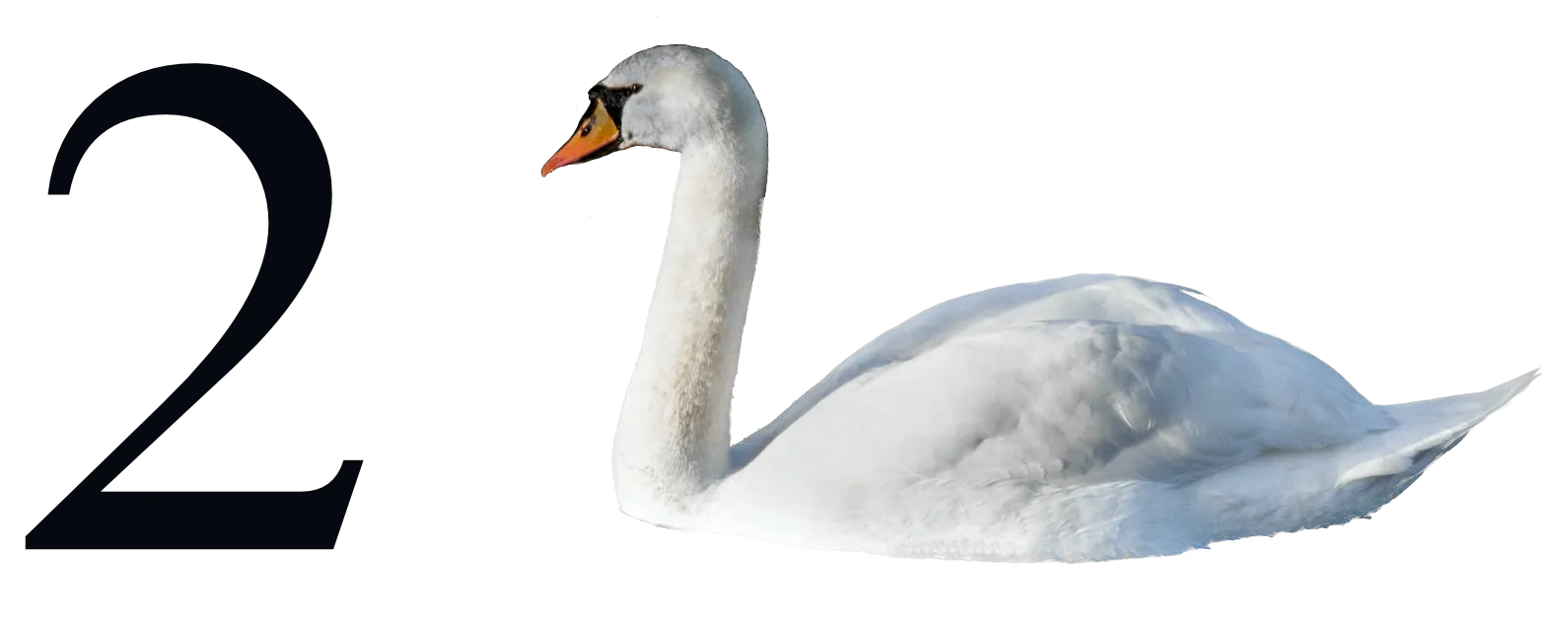 The digit 2 is displayed next to a swan to show their similarities in shape